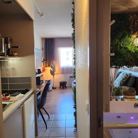 Loveroom African Vibe Apartment Carquefou