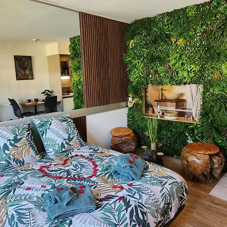 Loveroom African Vibe Apartment Carquefou