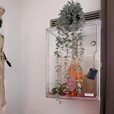 Apartamento Romance&tentation-balnéo 2 Places *